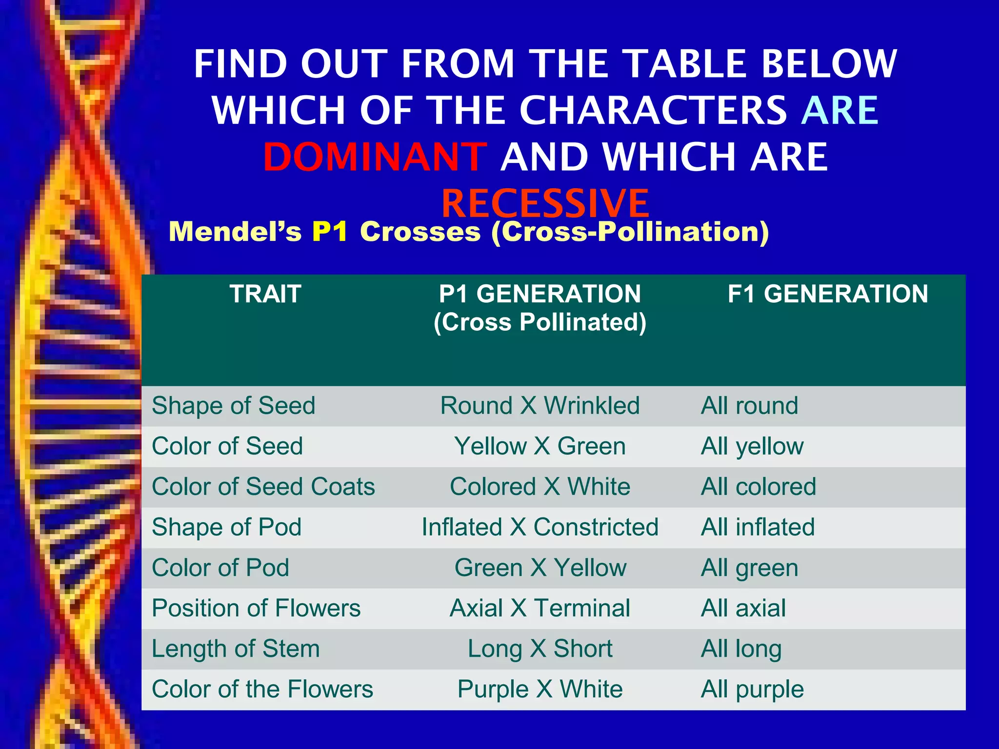 TRAIT P1 GENERATION
(Cross Pollinated)
F1 GENERATION
Shape of Seed Round X Wrinkled All round
Color of Seed Yellow X Green All yellow
Color of Seed Coats Colored X White All colored
Shape of Pod Inflated X Constricted All inflated
Color of Pod Green X Yellow All green
Position of Flowers Axial X Terminal All axial
Length of Stem Long X Short All long
Color of the Flowers Purple X White All purple
FIND OUT FROM THE TABLE BELOW
WHICH OF THE CHARACTERS ARE
DOMINANT AND WHICH ARE
RECESSIVE
Mendel’s P1 Crosses (Cross-Pollination)
 