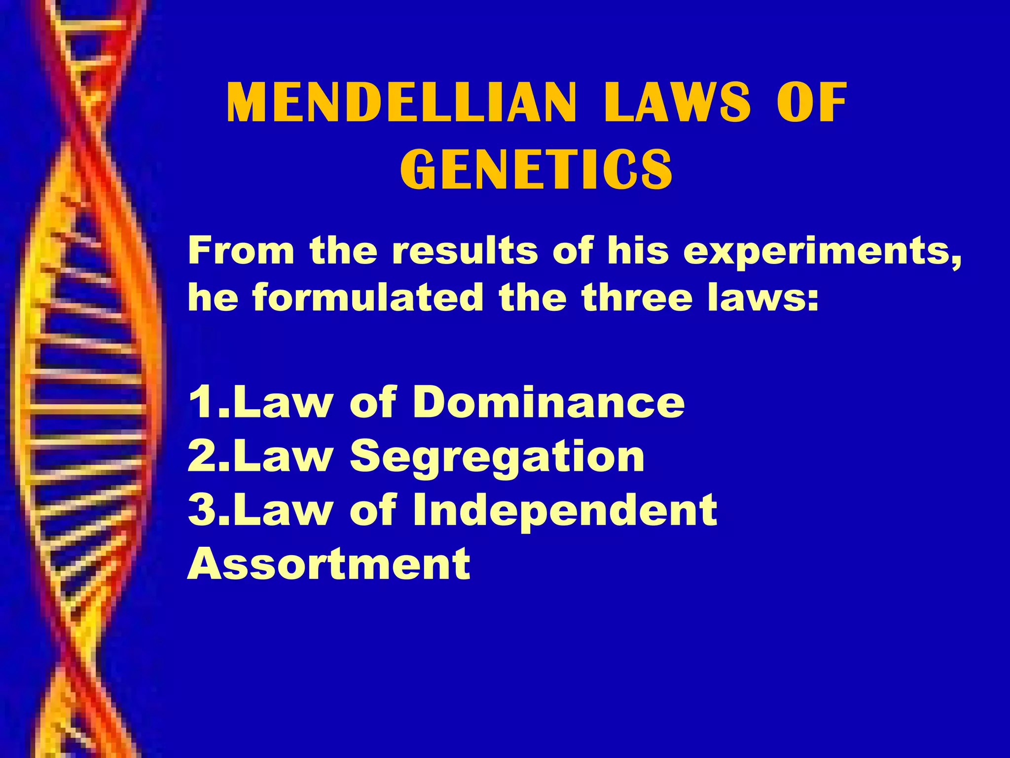 MENDELLIAN LAWS OF
GENETICS
From the results of his experiments,
he formulated the three laws:
1.Law of Dominance
2.Law Segregation
3.Law of Independent
Assortment
 
