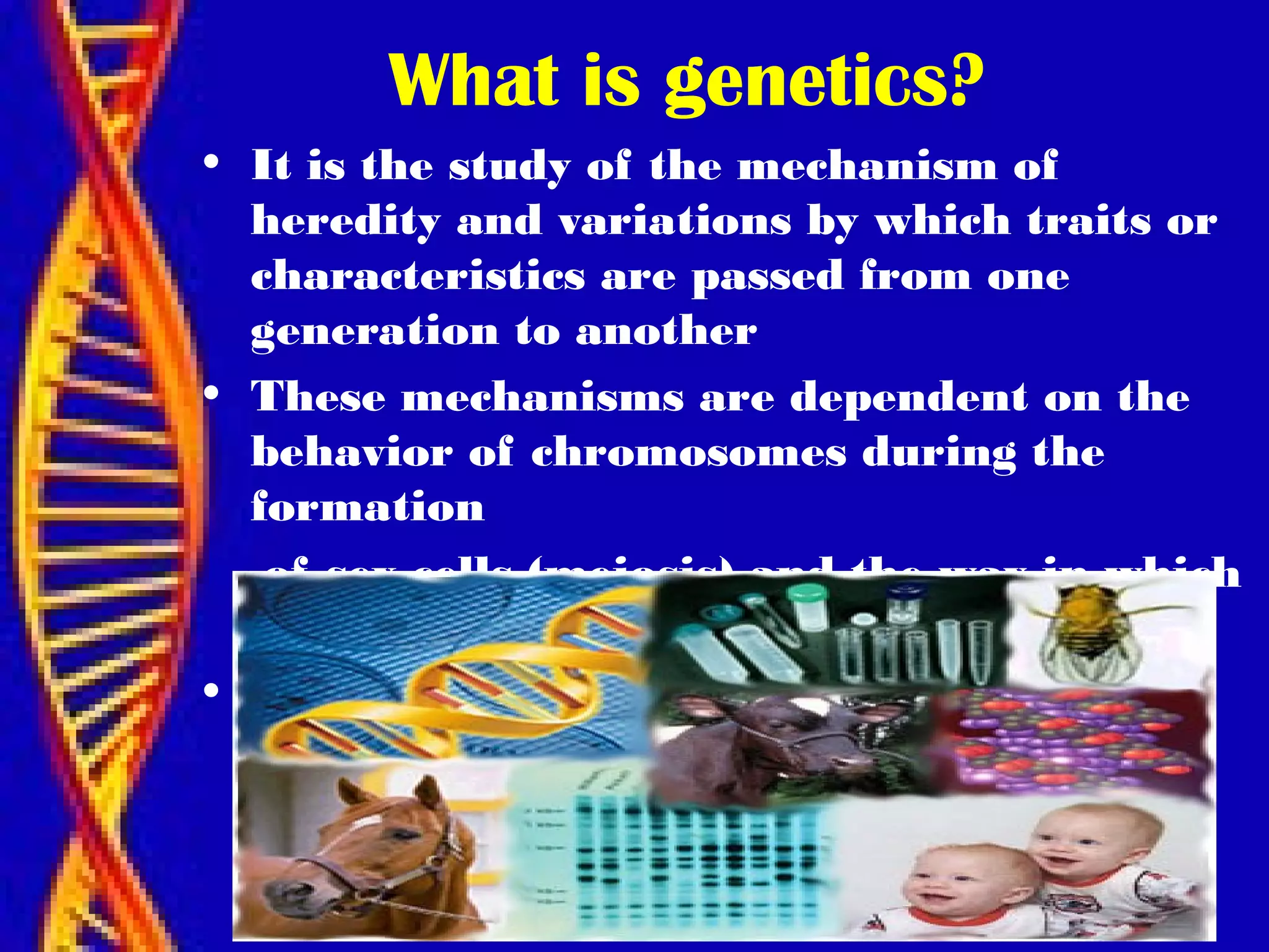 What is genetics?
• It is the study of the mechanism of
heredity and variations by which traits or
characteristics are passed from one
generation to another
• These mechanisms are dependent on the
behavior of chromosomes during the
formation
of sex cells (meiosis) and the way in which
this
• cells are brought together in fertilization
 