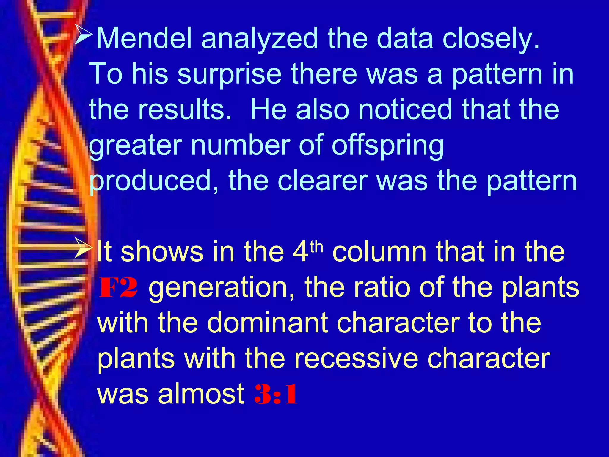Mendel analyzed the data closely.
To his surprise there was a pattern in
the results. He also noticed that the
greater number of offspring
produced, the clearer was the pattern
It shows in the 4th
column that in the
F2 generation, the ratio of the plants
with the dominant character to the
plants with the recessive character
was almost 3:1
 