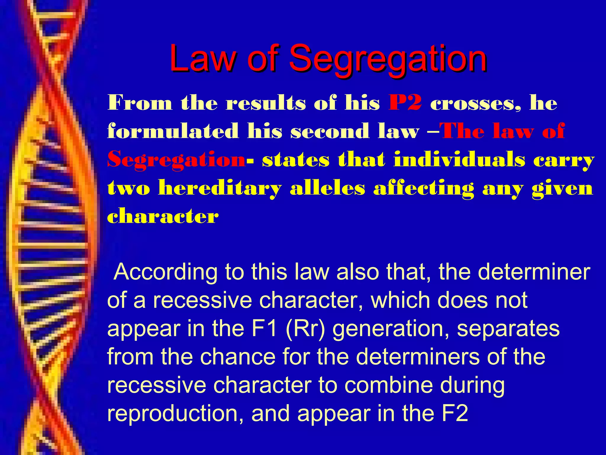 From the results of his P2 crosses, he
formulated his second law –The law of
Segregation- states that individuals carry
two hereditary alleles affecting any given
character
According to this law also that, the determiner
of a recessive character, which does not
appear in the F1 (Rr) generation, separates
from the chance for the determiners of the
recessive character to combine during
reproduction, and appear in the F2
Law of SegregationLaw of Segregation
 