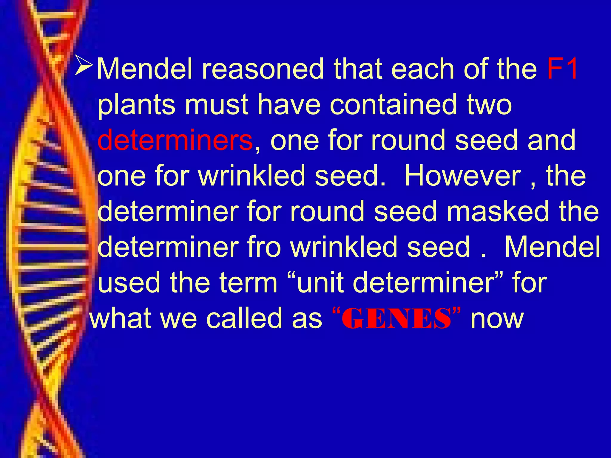 Mendel reasoned that each of the F1
plants must have contained two
determiners, one for round seed and
one for wrinkled seed. However , the
determiner for round seed masked the
determiner fro wrinkled seed . Mendel
used the term “unit determiner” for
what we called as “GENES” now
 