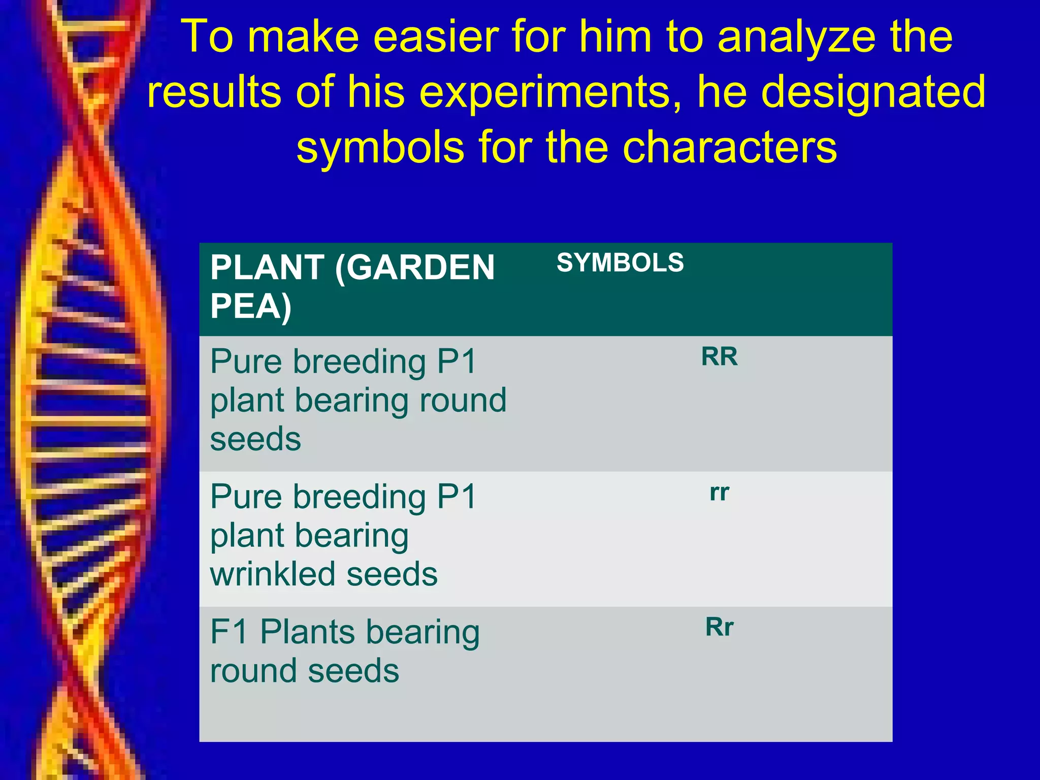 To make easier for him to analyze the
results of his experiments, he designated
symbols for the characters
PLANT (GARDEN
PEA)
SYMBOLS
Pure breeding P1
plant bearing round
seeds
RR
Pure breeding P1
plant bearing
wrinkled seeds
rr
F1 Plants bearing
round seeds
Rr
 