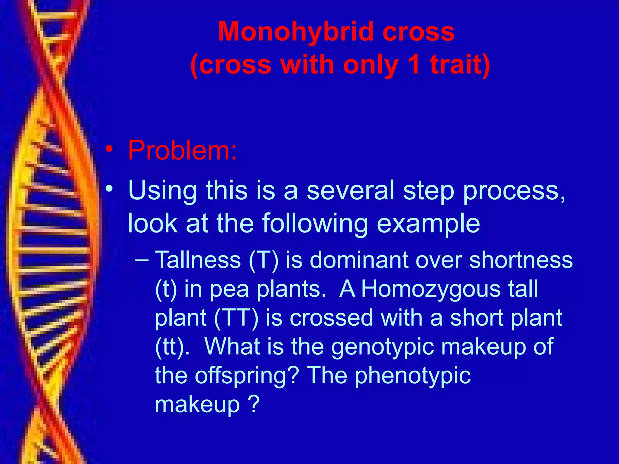 Monohybrid cross
(cross with only 1 trait)
• Problem:
• Using this is a several step process,
look at the following example
– Tallness (T) is dominant over shortness
(t) in pea plants. A Homozygous tall
plant (TT) is crossed with a short plant
(tt). What is the genotypic makeup of
the offspring? The phenotypic
makeup ?
 