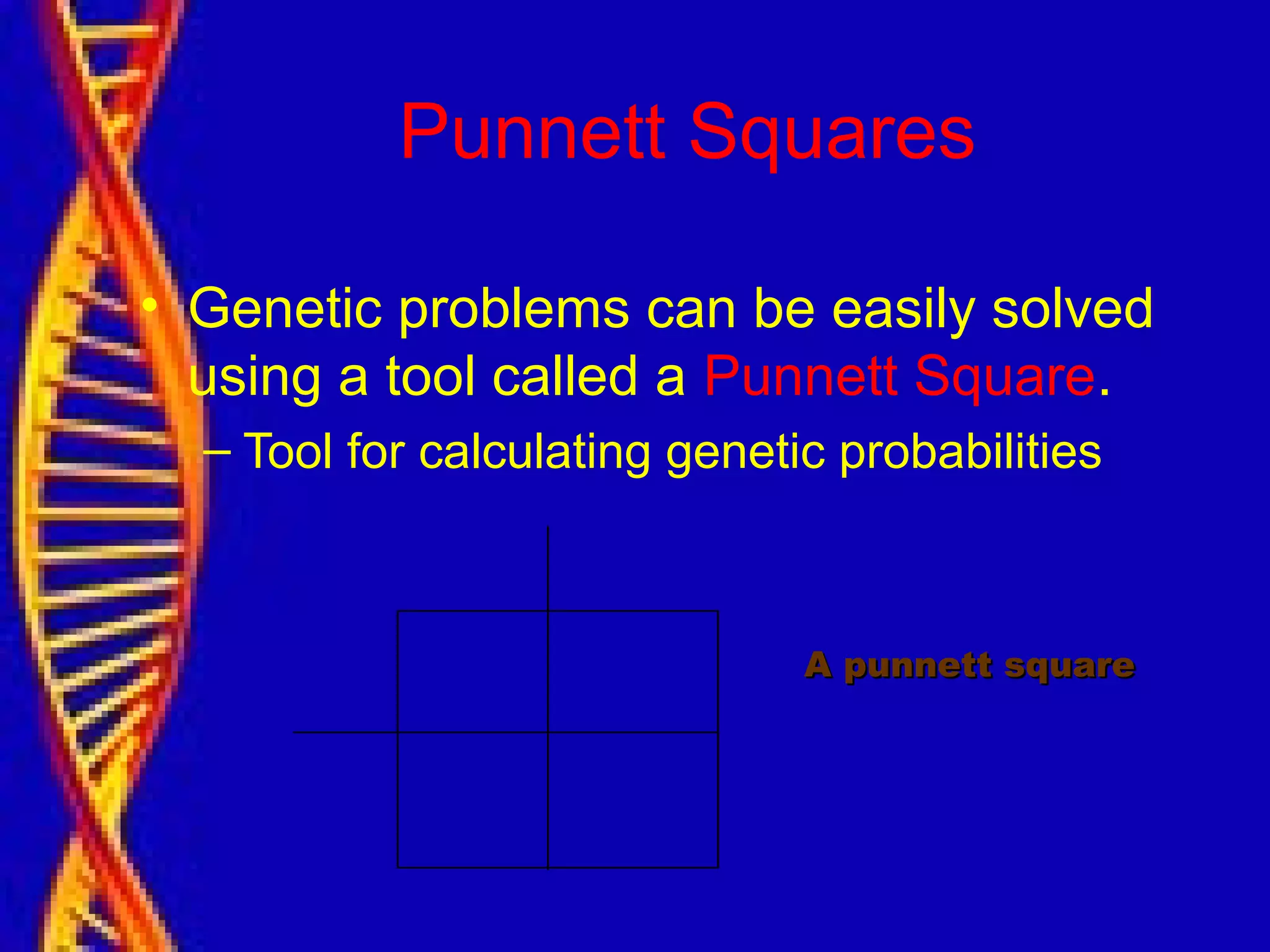 Punnett Squares
• Genetic problems can be easily solved
using a tool called a Punnett Square.
– Tool for calculating genetic probabilities
A punnett squareA punnett square
 