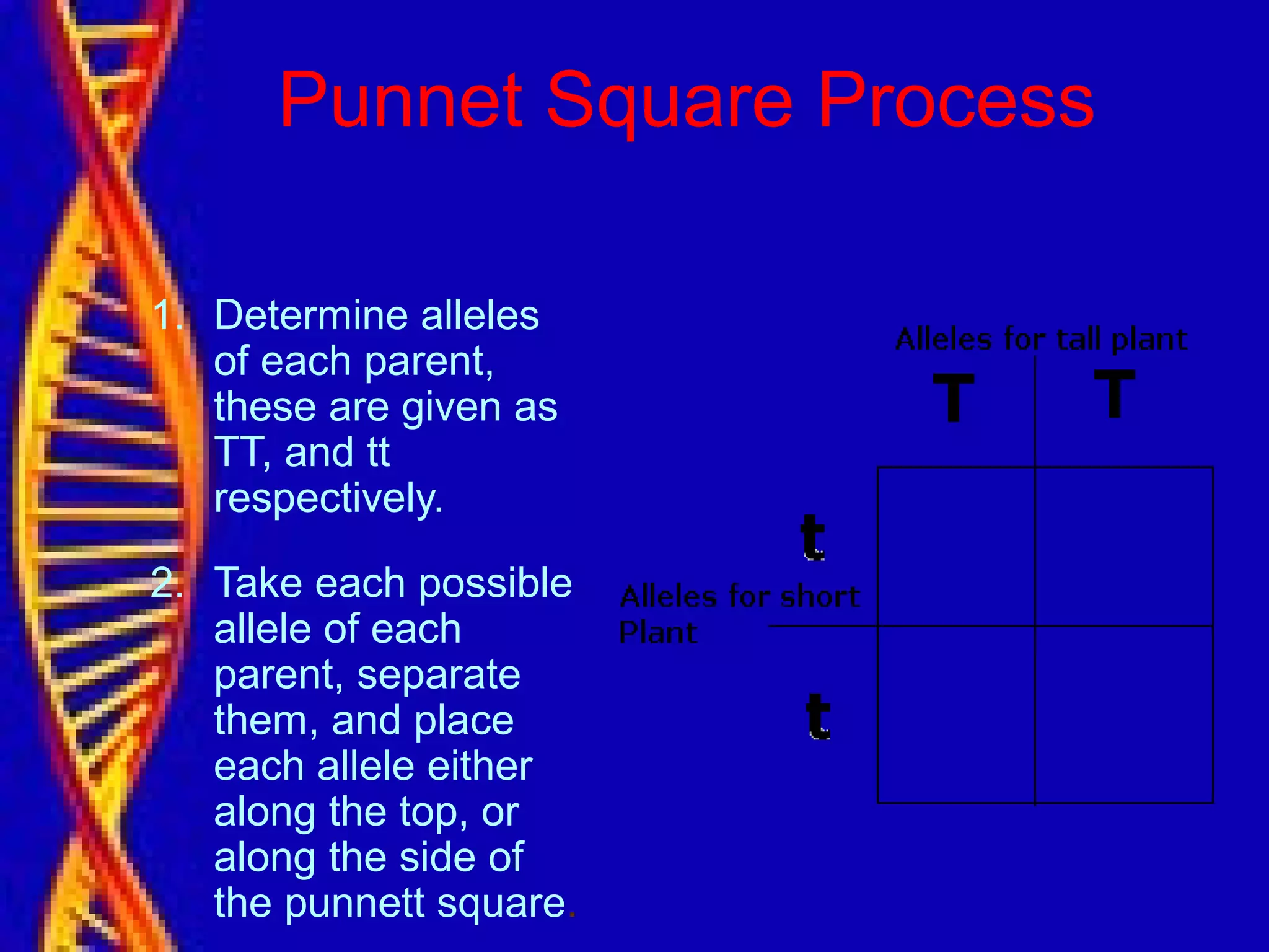 Punnet Square Process
1. Determine alleles
of each parent,
these are given as
TT, and tt
respectively.
2. Take each possible
allele of each
parent, separate
them, and place
each allele either
along the top, or
along the side of
the punnett square.
 