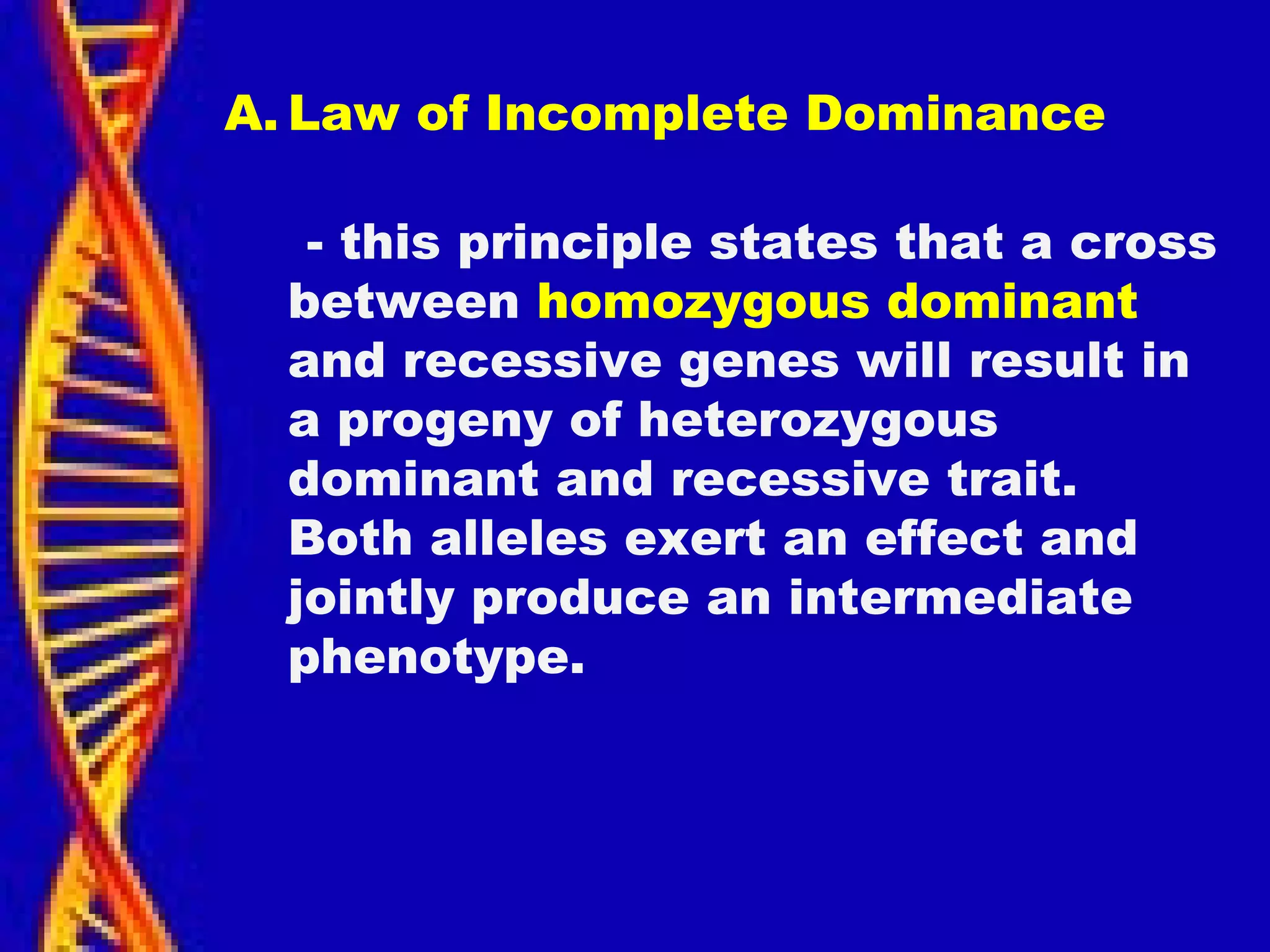 A. Law of Incomplete Dominance
- this principle states that a cross
between homozygous dominant
and recessive genes will result in
a progeny of heterozygous
dominant and recessive trait.
Both alleles exert an effect and
jointly produce an intermediate
phenotype.
 