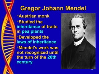10
Gregor Johann MendelGregor Johann Mendel
Austrian monkAustrian monk
Studied theStudied the
inheritanceinheritance of traitsof traits
inin pea plantspea plants
Developed theDeveloped the
laws of inheritancelaws of inheritance
Mendel's work wasMendel's work was
not recognized untilnot recognized until
the turn of thethe turn of the 20th20th
centurycentury
 