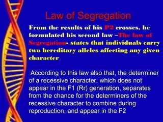 From the results of his P2 crosses, he
formulated his second law –The law of
Segregation- states that individuals carry
two hereditary alleles affecting any given
character
According to this law also that, the determiner
of a recessive character, which does not
appear in the F1 (Rr) generation, separates
from the chance for the determiners of the
recessive character to combine during
reproduction, and appear in the F2
Law of SegregationLaw of Segregation
 