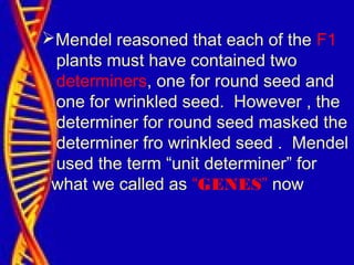 Mendel reasoned that each of the F1
plants must have contained two
determiners, one for round seed and
one for wrinkled seed. However , the
determiner for round seed masked the
determiner fro wrinkled seed . Mendel
used the term “unit determiner” for
what we called as “GENES” now
 