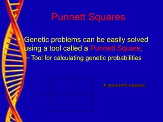 Punnett Squares
• Genetic problems can be easily solved
using a tool called a Punnett Square.
– Tool for calculating genetic probabilities
A punnett squareA punnett square
 