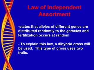 Law of Independent
Assortment
-states that alleles of different genes are
distributed randomly to the gametes and
fertilization occurs at random
- To explain this law, a dihybrid cross will
be used. This type of cross uses two
traits.
 