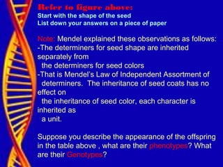 Refer to figure above:
Start with the shape of the seed
List down your answers on a piece of paper
Note: Mendel explained these observations as follows:
-The determiners for seed shape are inherited
separately from
the determiners for seed colors
-That is Mendel’s Law of Independent Assortment of
determiners. The inheritance of seed coats has no
effect on
the inheritance of seed color, each character is
inherited as
a unit.
Suppose you describe the appearance of the offspring
in the table above , what are their phenotypes? What
are their Genotypes?
 