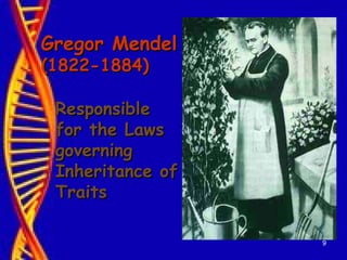 9
Gregor MendelGregor Mendel
(1822-1884)(1822-1884)
ResponsibleResponsible
for the Lawsfor the Laws
governinggoverning
Inheritance ofInheritance of
TraitsTraits
 
