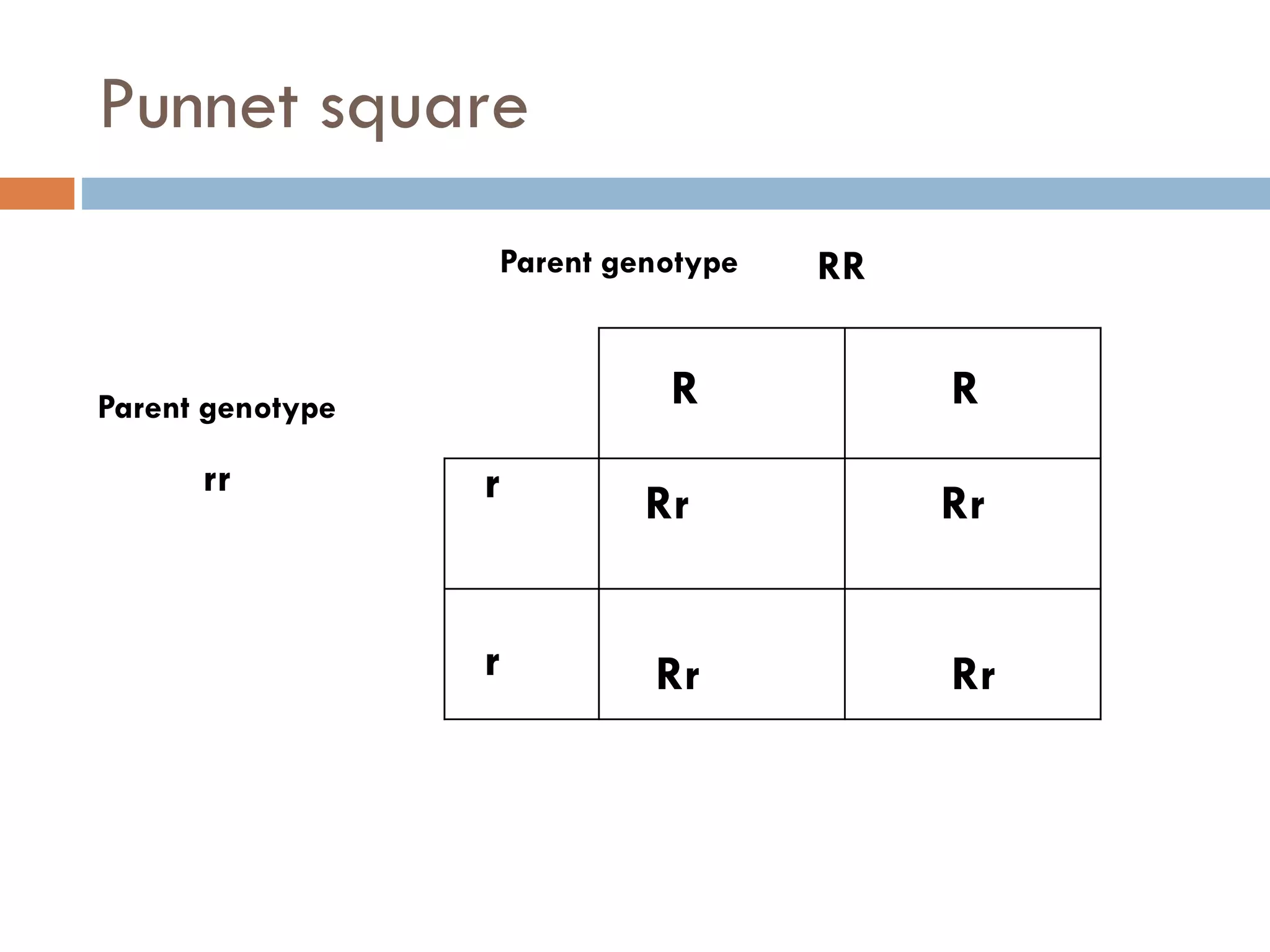 Punnet square
r
r
R R
Rr Rr
Rr Rr
Parent genotype
Parent genotype
RR
rr
 