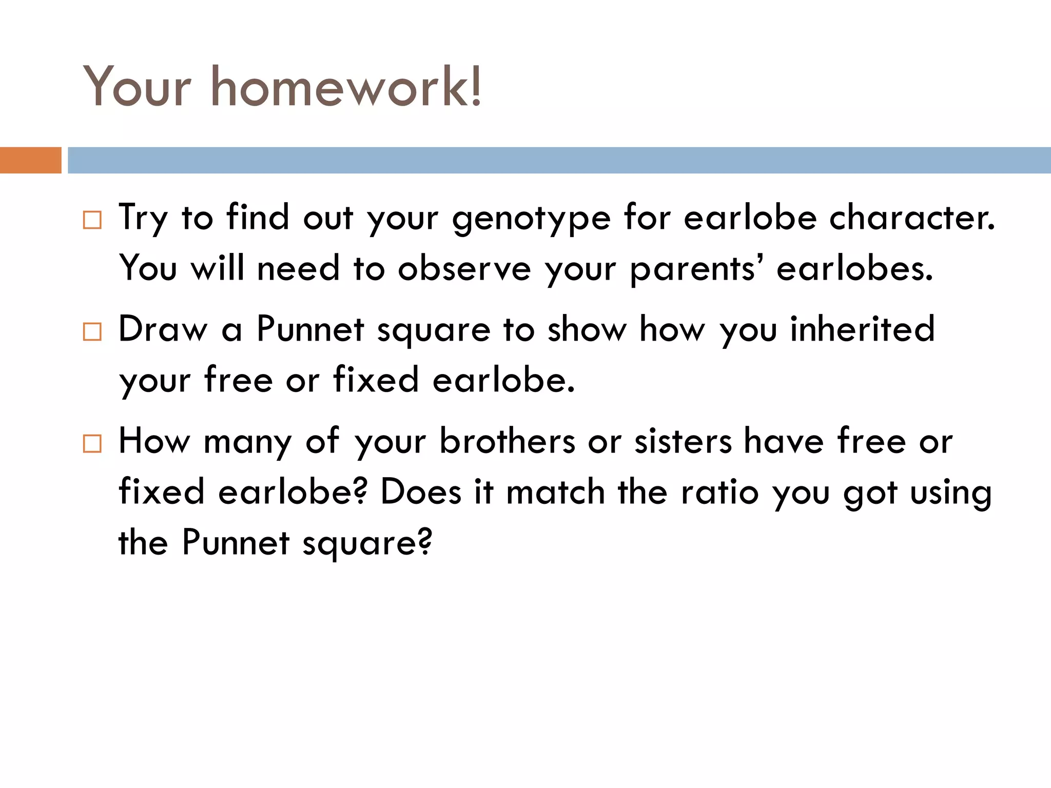 Your homework!
 Try to find out your genotype for earlobe character.
You will need to observe your parents’ earlobes.
 Draw a Punnet square to show how you inherited
your free or fixed earlobe.
 How many of your brothers or sisters have free or
fixed earlobe? Does it match the ratio you got using
the Punnet square?
 