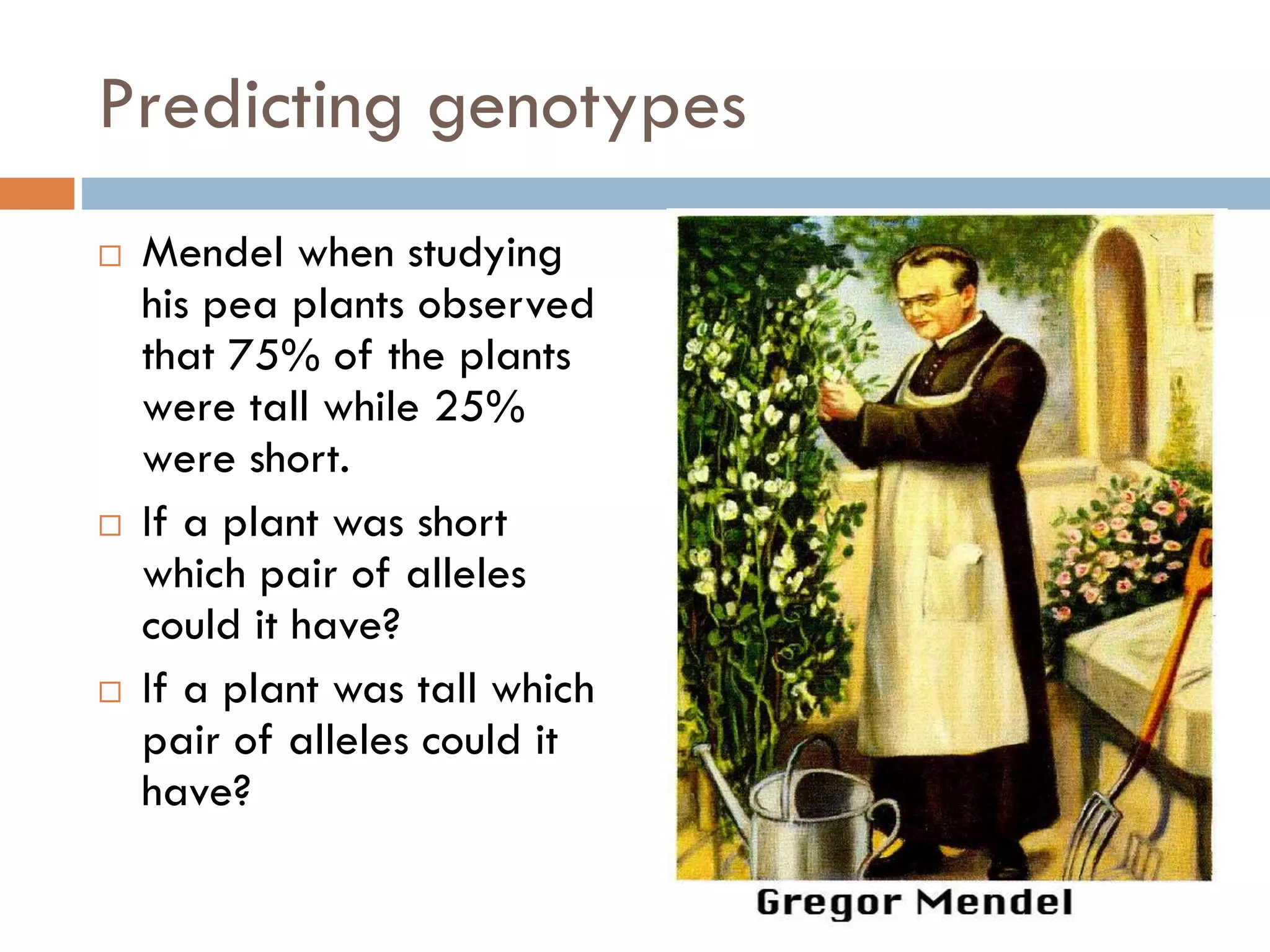 Predicting genotypes
 Mendel when studying
his pea plants observed
that 75% of the plants
were tall while 25%
were short.
 If a plant was short
which pair of alleles
could it have?
 If a plant was tall which
pair of alleles could it
have?
 