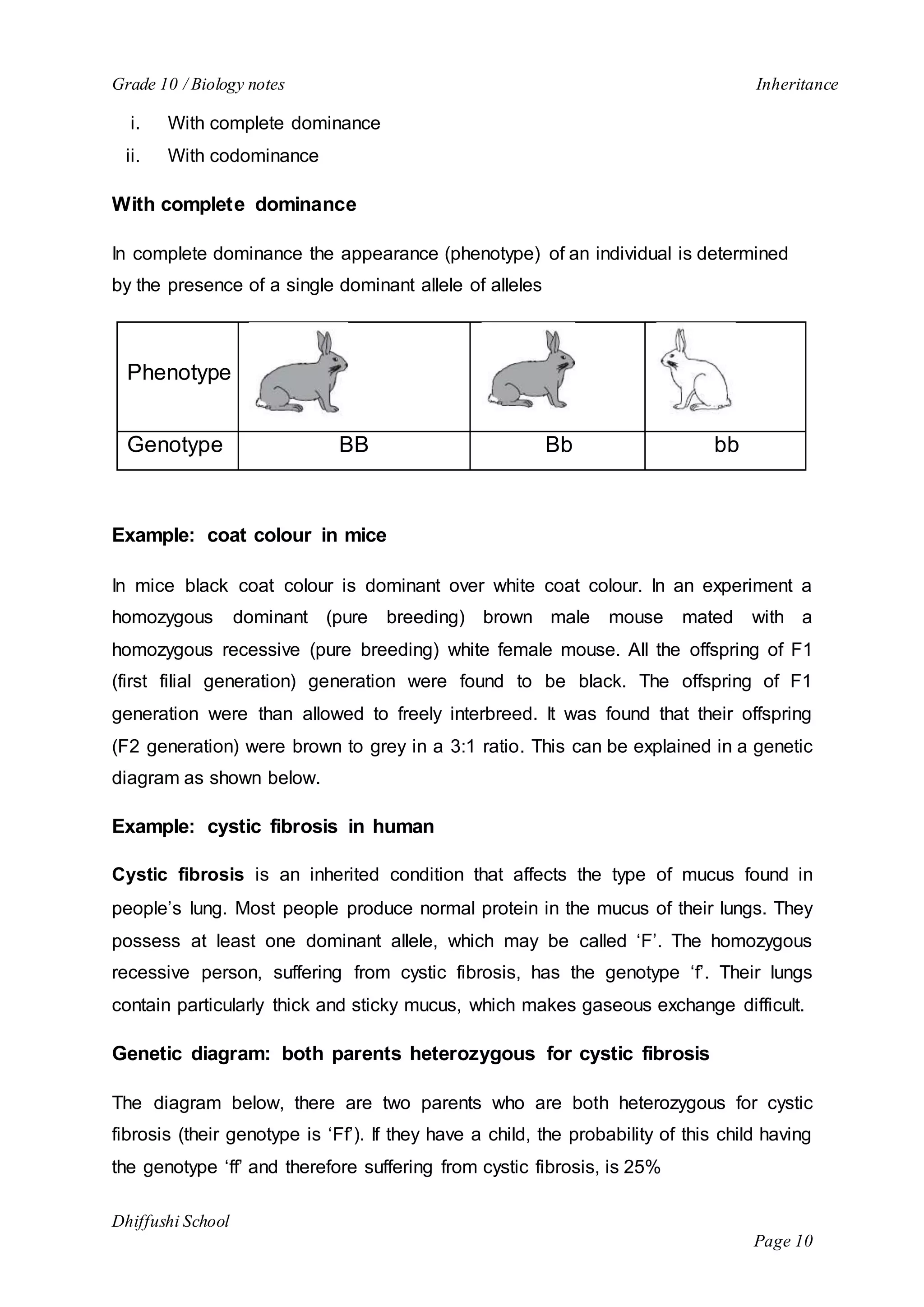 Grade 10 / Biology notes Inheritance 
Dhiffushi School 
Page 10 
i. With complete dominance 
ii. With codominance 
With complete dominance 
In complete dominance the appearance (phenotype) of an individual is determined 
by the presence of a single dominant allele of alleles 
Phenotype 
Genotype BB Bb bb 
Example: coat colour in mice 
In mice black coat colour is dominant over white coat colour. In an experiment a 
homozygous dominant (pure breeding) brown male mouse mated with a 
homozygous recessive (pure breeding) white female mouse. All the offspring of F1 
(first filial generation) generation were found to be black. The offspring of F1 
generation were than allowed to freely interbreed. It was found that their offspring 
(F2 generation) were brown to grey in a 3:1 ratio. This can be explained in a genetic 
diagram as shown below. 
Example: cystic fibrosis in human 
Cystic fibrosis is an inherited condition that affects the type of mucus found in 
people’s lung. Most people produce normal protein in the mucus of their lungs. They 
possess at least one dominant allele, which may be called ‘F’. The homozygous 
recessive person, suffering from cystic fibrosis, has the genotype ‘f’. Their lungs 
contain particularly thick and sticky mucus, which makes gaseous exchange difficult. 
Genetic diagram: both parents heterozygous for cystic fibrosis 
The diagram below, there are two parents who are both heterozygous for cystic 
fibrosis (their genotype is ‘Ff’). If they have a child, the probability of this child having 
the genotype ‘ff’ and therefore suffering from cystic fibrosis, is 25% 
 