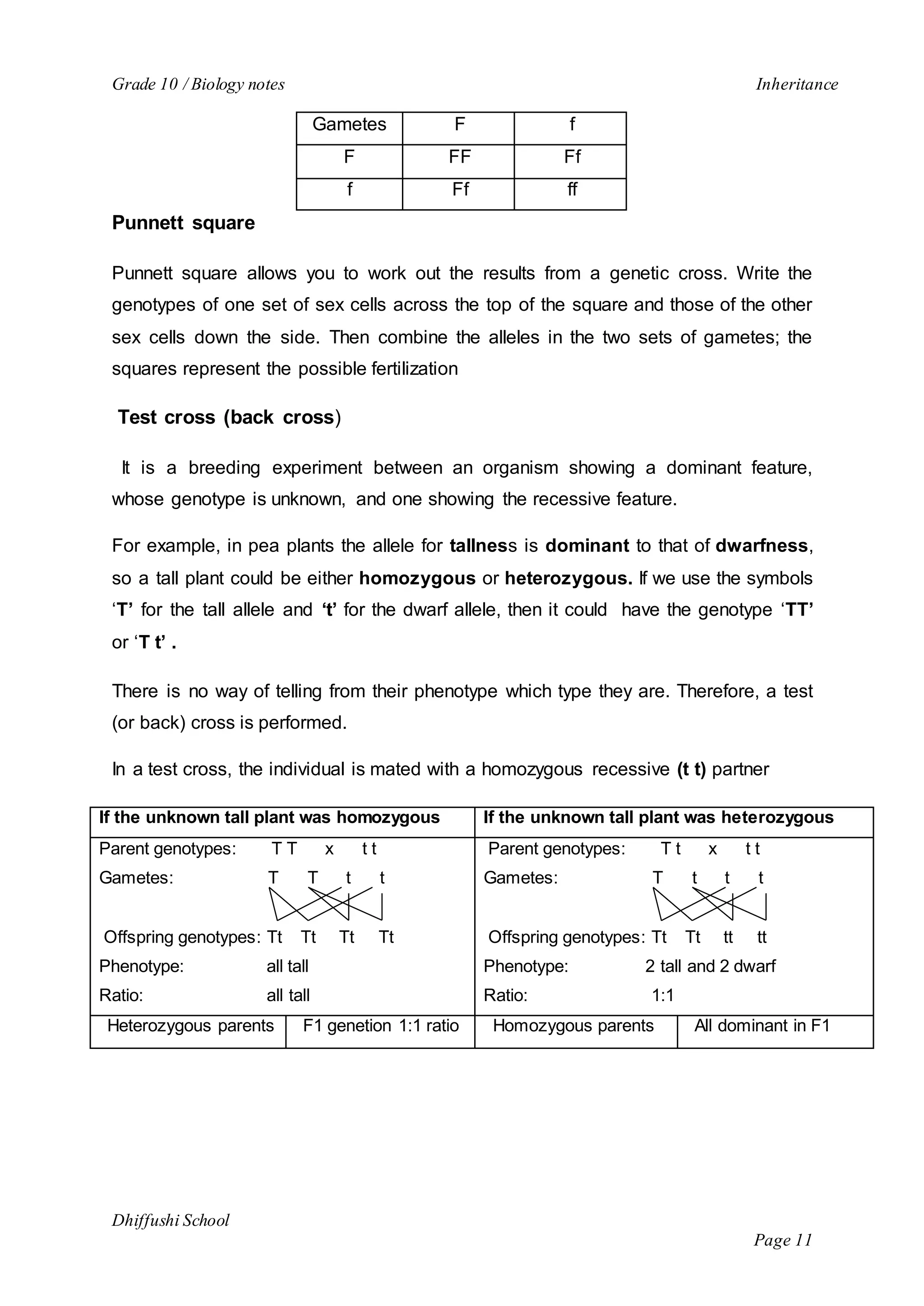 Grade 10 / Biology notes Inheritance 
Dhiffushi School 
Page 11 
Gametes F f 
F FF Ff 
f Ff ff 
Punnett square 
Punnett square allows you to work out the results from a genetic cross. Write the 
genotypes of one set of sex cells across the top of the square and those of the other 
sex cells down the side. Then combine the alleles in the two sets of gametes; the 
squares represent the possible fertilization 
Test cross (back cross) 
It is a breeding experiment between an organism showing a dominant feature, 
whose genotype is unknown, and one showing the recessive feature. 
For example, in pea plants the allele for tallness is dominant to that of dwarfness, 
so a tall plant could be either homozygous or heterozygous. If we use the symbols 
‘T’ for the tall allele and ‘t’ for the dwarf allele, then it could have the genotype ‘TT’ 
or ‘T t’ . 
There is no way of telling from their phenotype which type they are. Therefore, a test 
(or back) cross is performed. 
In a test cross, the individual is mated with a homozygous recessive (t t) partner 
If the unknown tall plant was homozygous I f t h e u n k n o w n t a l l plant was heterozygous 
Parent genotypes: T T x t t 
Gametes: T T t t 
Offspring genotypes: Tt Tt Tt Tt 
Phenotype: all tall 
Ratio: all tall 
Parent genotypes: T t x t t 
Gametes: T t t t 
Offspring genotypes: Tt Tt tt tt 
Phenotype: 2 tall and 2 dwarf 
Ratio: 1:1 
Heterozygous parents F1 genetion 1:1 ratio Homozygous parents All dominant in F1 
 