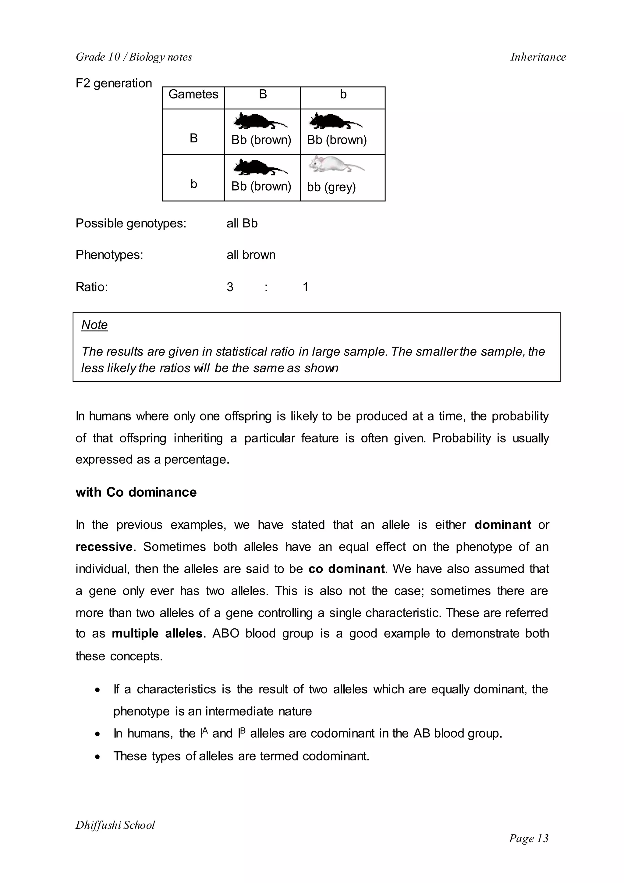 Grade 10 / Biology notes Inheritance 
Note 
The results are given in statistical ratio in large sample. The smaller the sample, the 
less likely the ratios will be the same as shown 
Dhiffushi School 
Page 13 
F2 generation 
Gametes B b 
B Bb (brown) Bb (brown) 
b Bb (brown) 
Possible genotypes: all Bb 
Phenotypes: all brown 
bb (grey) 
Ratio: 3 : 1 
In humans where only one offspring is likely to be produced at a time, the probability 
of that offspring inheriting a particular feature is often given. Probability is usually 
expressed as a percentage. 
with Co dominance 
In the previous examples, we have stated that an allele is either dominant or 
recessive. Sometimes both alleles have an equal effect on the phenotype of an 
individual, then the alleles are said to be co dominant. We have also assumed that 
a gene only ever has two alleles. This is also not the case; sometimes there are 
more than two alleles of a gene controlling a single characteristic. These are referred 
to as multiple alleles. ABO blood group is a good example to demonstrate both 
these concepts. 
 If a characteristics is the result of two alleles which are equally dominant, the 
phenotype is an intermediate nature 
 In humans, the IA and IB alleles are codominant in the AB blood group. 
 These types of alleles are termed codominant. 
 