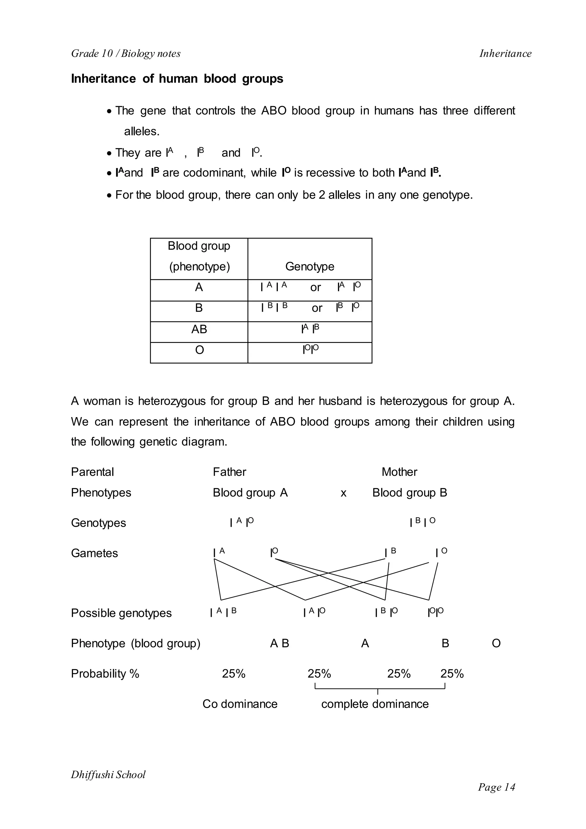 Grade 10 / Biology notes Inheritance 
Dhiffushi School 
Page 14 
Inheritance of human blood groups 
 The gene that controls the ABO blood group in humans has three different 
alleles. 
 They are IA , IB and IO. 
 IAand IB are codominant, while IO is recessive to both IAand IB. 
 For the blood group, there can only be 2 alleles in any one genotype. 
Blood group 
(phenotype) 
Genotype 
A I A I A or IA IO 
B I B I B or IB IO 
AB IA IB 
O IOIO 
A woman is heterozygous for group B and her husband is heterozygous for group A. 
We can represent the inheritance of ABO blood groups among their children using 
the following genetic diagram. 
Parental Father Mother 
Phenotypes Blood group A x Blood group B 
Genotypes I A IO I B I O 
Gametes I A IO I B I O 
Possible genotypes I A I B I A IO I B IO IOIO 
Phenotype (blood group) A B A B O 
Probability % 25% 25% 25% 25% 
Co dominance complete dominance 
 