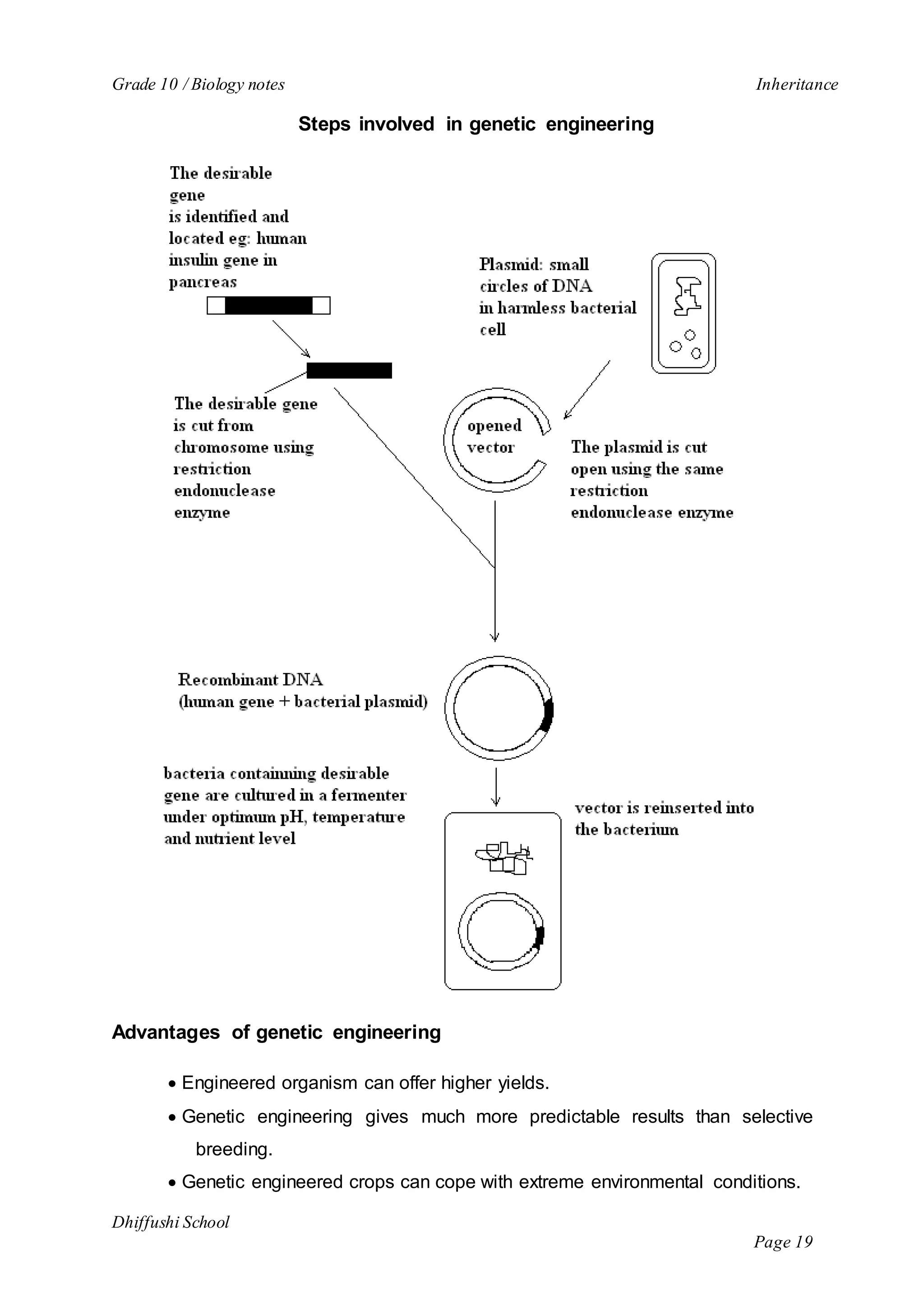 Grade 10 / Biology notes Inheritance 
Dhiffushi School 
Page 19 
Steps involved in genetic engineering 
Advantages of genetic engineering 
 Engineered organism can offer higher yields. 
 Genetic engineering gives much more predictable results than selective 
breeding. 
 Genetic engineered crops can cope with extreme environmental conditions. 
 
