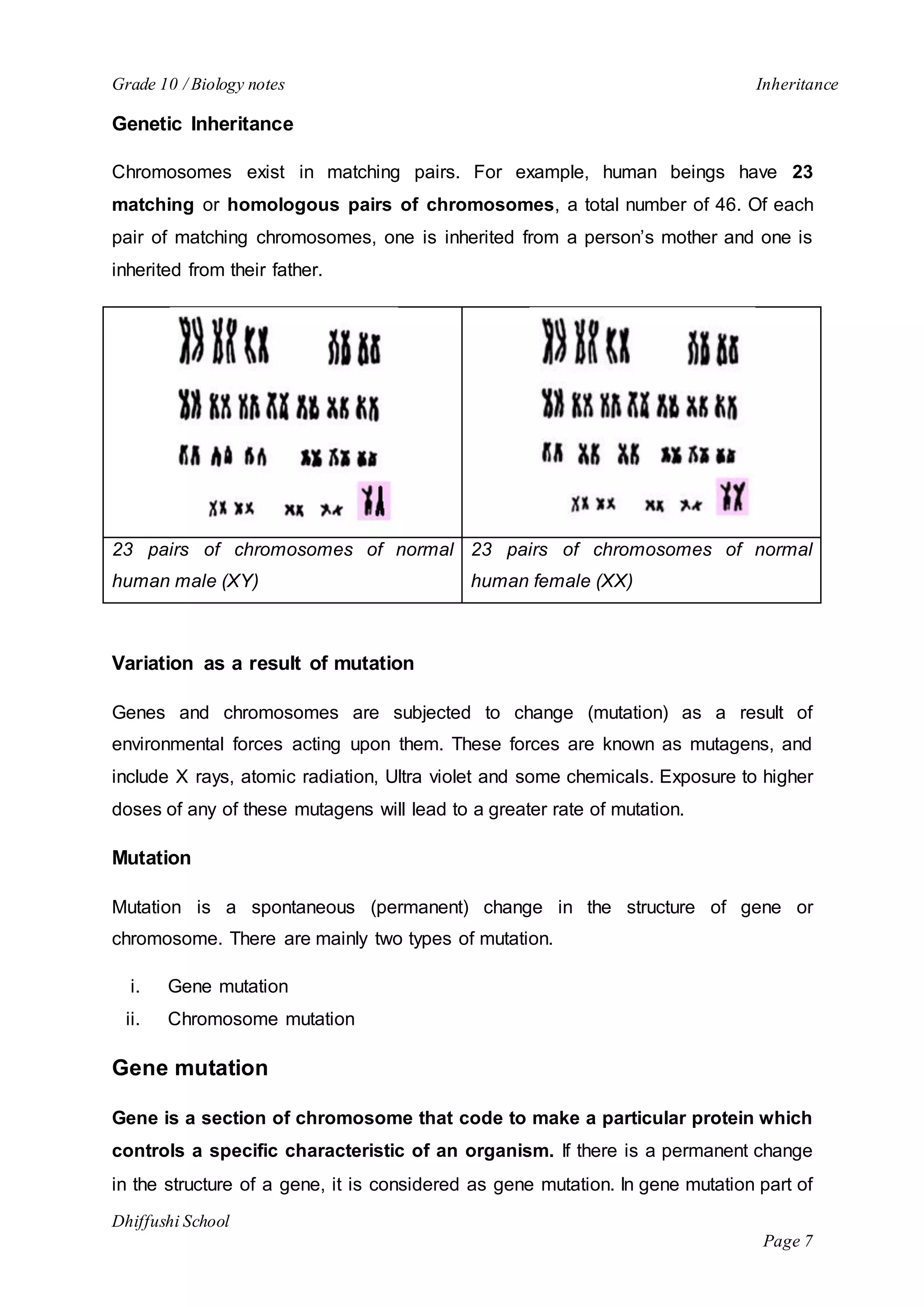 Grade 10 / Biology notes Inheritance 
Dhiffushi School 
Page 7 
Genetic Inheritance 
Chromosomes exist in matching pairs. For example, human beings have 23 
matching or homologous pairs of chromosomes, a total number of 46. Of each 
pair of matching chromosomes, one is inherited from a person’s mother and one is 
inherited from their father. 
23 pairs of chromosomes of normal 
human male (XY) 
23 pairs of chromosomes of normal 
human female (XX) 
Variation as a result of mutation 
Genes and chromosomes are subjected to change (mutation) as a result of 
environmental forces acting upon them. These forces are known as mutagens, and 
include X rays, atomic radiation, Ultra violet and some chemicals. Exposure to higher 
doses of any of these mutagens will lead to a greater rate of mutation. 
Mutation 
Mutation is a spontaneous (permanent) change in the structure of gene or 
chromosome. There are mainly two types of mutation. 
i. Gene mutation 
ii. Chromosome mutation 
Gene mutation 
Gene is a section of chromosome that code to make a particular protein which 
controls a specific characteristic of an organism. If there is a permanent change 
in the structure of a gene, it is considered as gene mutation. In gene mutation part of 
 