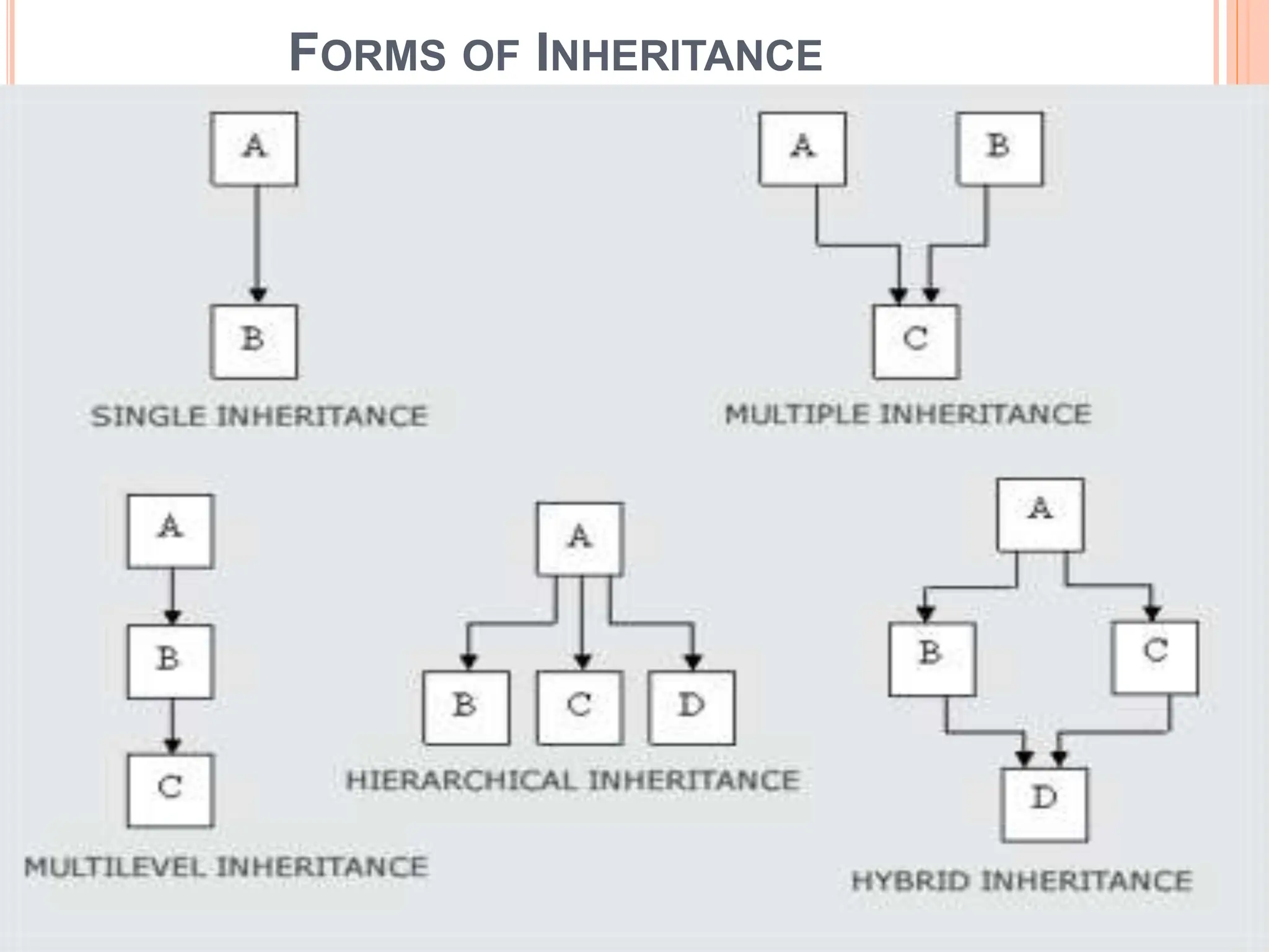 inheritance-16031525566nbhij56604452.pdf