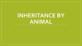 INHERITANCE BY
ANIMAL
 