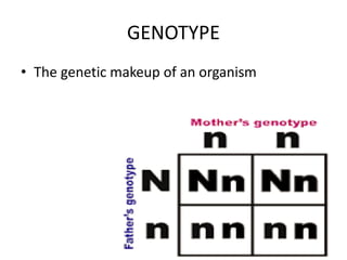 GENOTYPE
• The genetic makeup of an organism
 