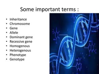 Some important terms :
• Inheritance
• Chromosome
• Gene
• Allele
• Dominant gene
• Recessive gene
• Homogenous
• Heterogenous
• Phenotype
• Genotype
 