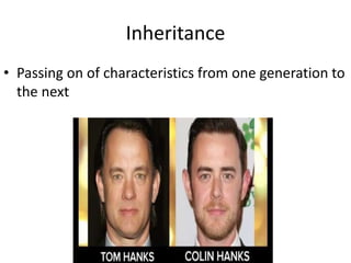 Inheritance
• Passing on of characteristics from one generation to
the next
 