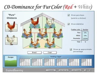 C0-Dominance for Fur Color ( Red  +  White ) 
