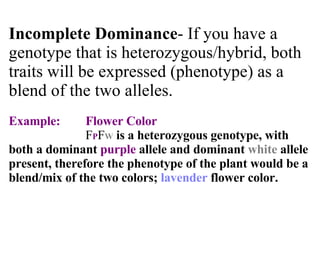 Incomplete Dominance - If you have a genotype that is heterozygous/hybrid, both traits will be expressed (phenotype) as a blend of the two alleles. Example:  Flower Color F P F W   is a heterozygous genotype, with both a dominant  purple  allele and dominant  white  allele present, therefore the phenotype of the plant would be a blend/mix of the two colors;  lavender  flower color. 
