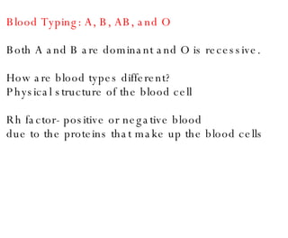 Blood Typing: A, B, AB, and O Both A and B are dominant and O is recessive. How are blood types different? Physical structure of the blood cell Rh factor- positive or negative blood due to the proteins that make up the blood cells 