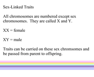 Sex-Linked Traits All chromosomes are numbered except sex chromosomes.  They are called X and Y. XX = female XY = male Traits can be carried on these sex chromsomes and be passed from parent to offspring. 