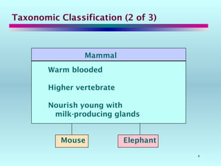8
Taxonomic Classification (2 of 3)
Mammal
Warm blooded
Higher vertebrate
Nourish young with
milk-producing glands
Mouse Elephant
 