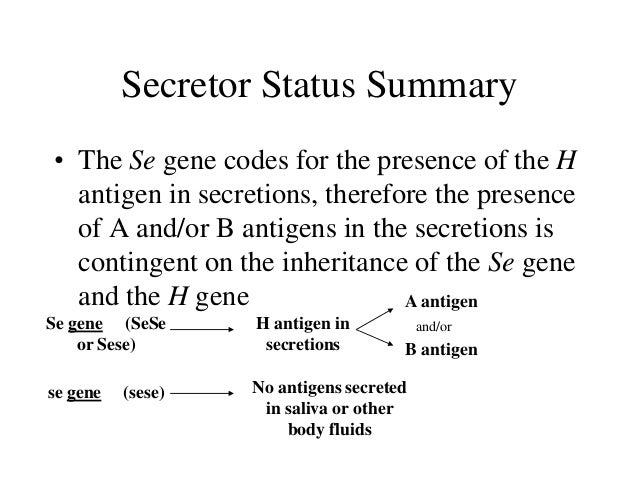 Inheritance and genetic of blood group