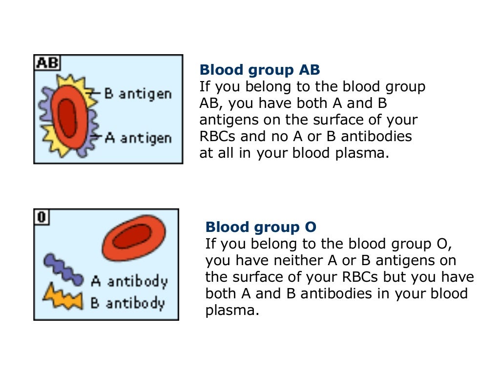 Inheritance And Genetic Of Blood Group inheritance-and-genetic-of-blood-group