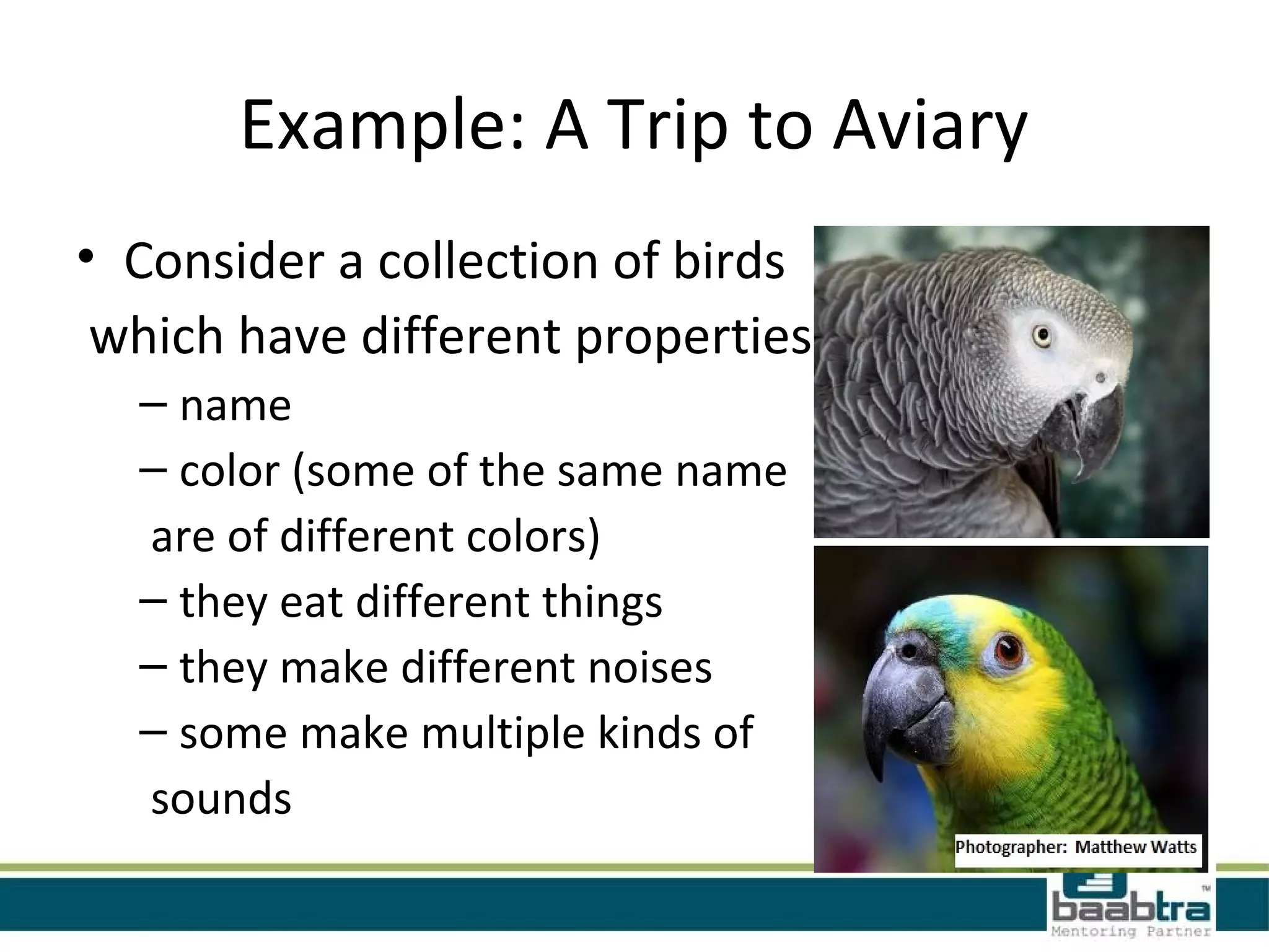 Example: A Trip to Aviary
• Consider a collection of birds
which have different properties
– name
– color (some of the same name
are of different colors)
– they eat different things
– they make different noises
– some make multiple kinds of
sounds
 