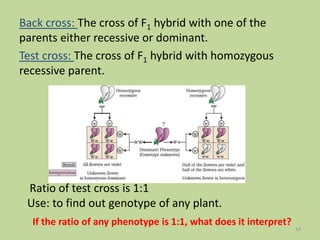 Back cross: The cross of F1 hybrid with one of the
parents either recessive or dominant.
Test cross: The cross of F1 hybrid with homozygous
recessive parent.
Ratio of test cross is 1:1
Use: to find out genotype of any plant.
If the ratio of any phenotype is 1:1, what does it interpret?
14
 