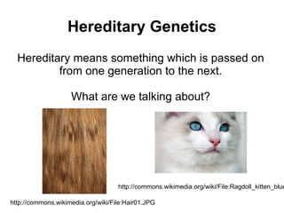 Hereditary Genetics Hereditary means something which is passed on from one generation to the next. What are we talking about? http://commons.wikimedia.org/wiki/File:Hair01.JPG http://commons.wikimedia.org/wiki/File:Ragdoll_kitten_blue_eyes.jpg 