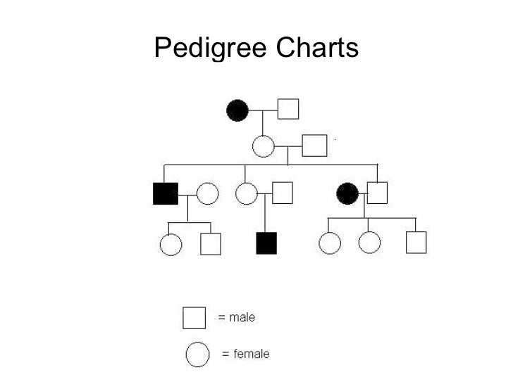 Inheritance Presentation