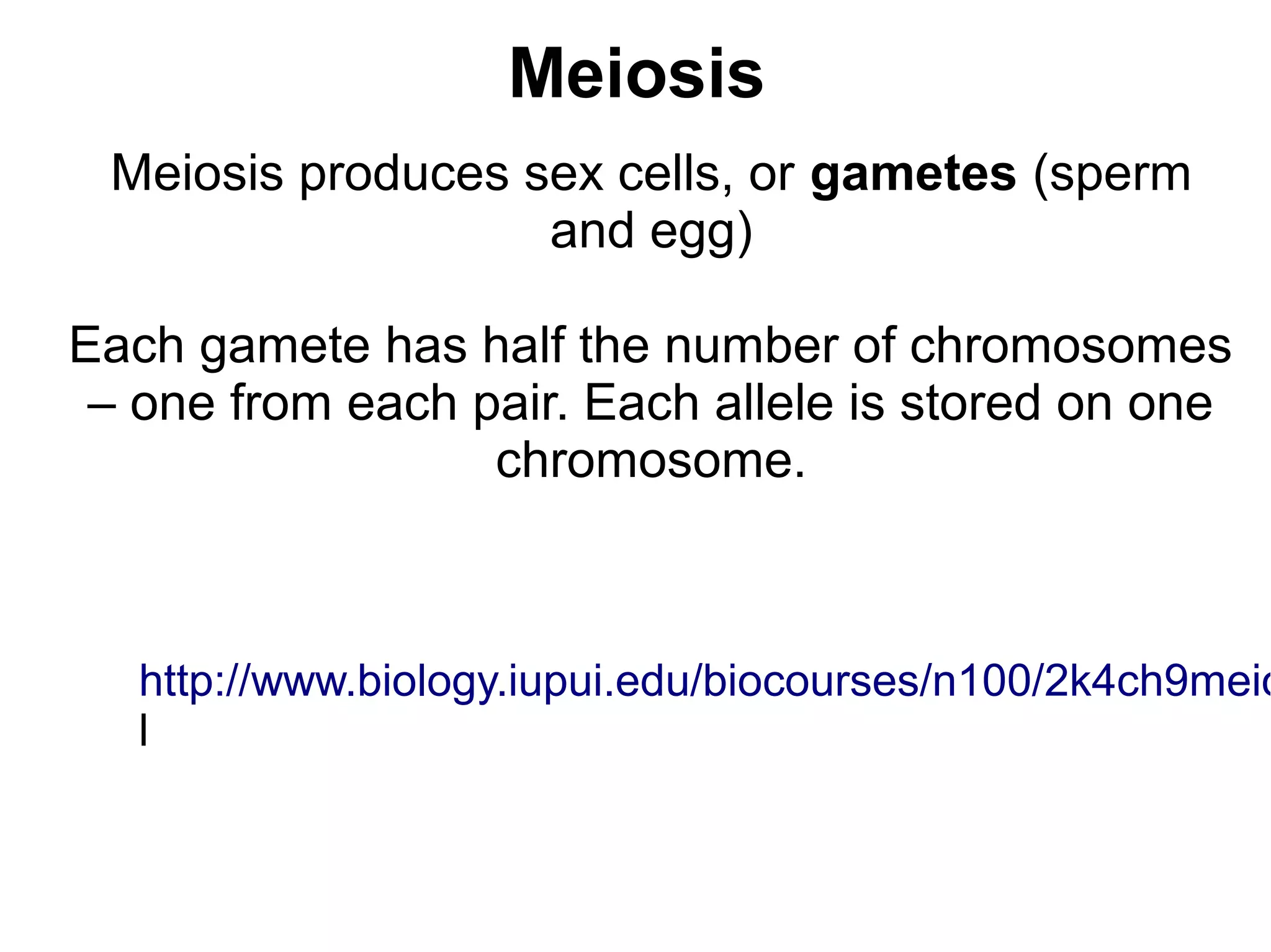Meiosis
 Meiosis produces sex cells, or gametes (sperm
                   and egg)

Each gamete has half the number of chromosomes
 – one from each pair. Each allele is stored on one
                  chromosome.



   http://www.biology.iupui.edu/biocourses/n100/2k4ch9meio
   l
 