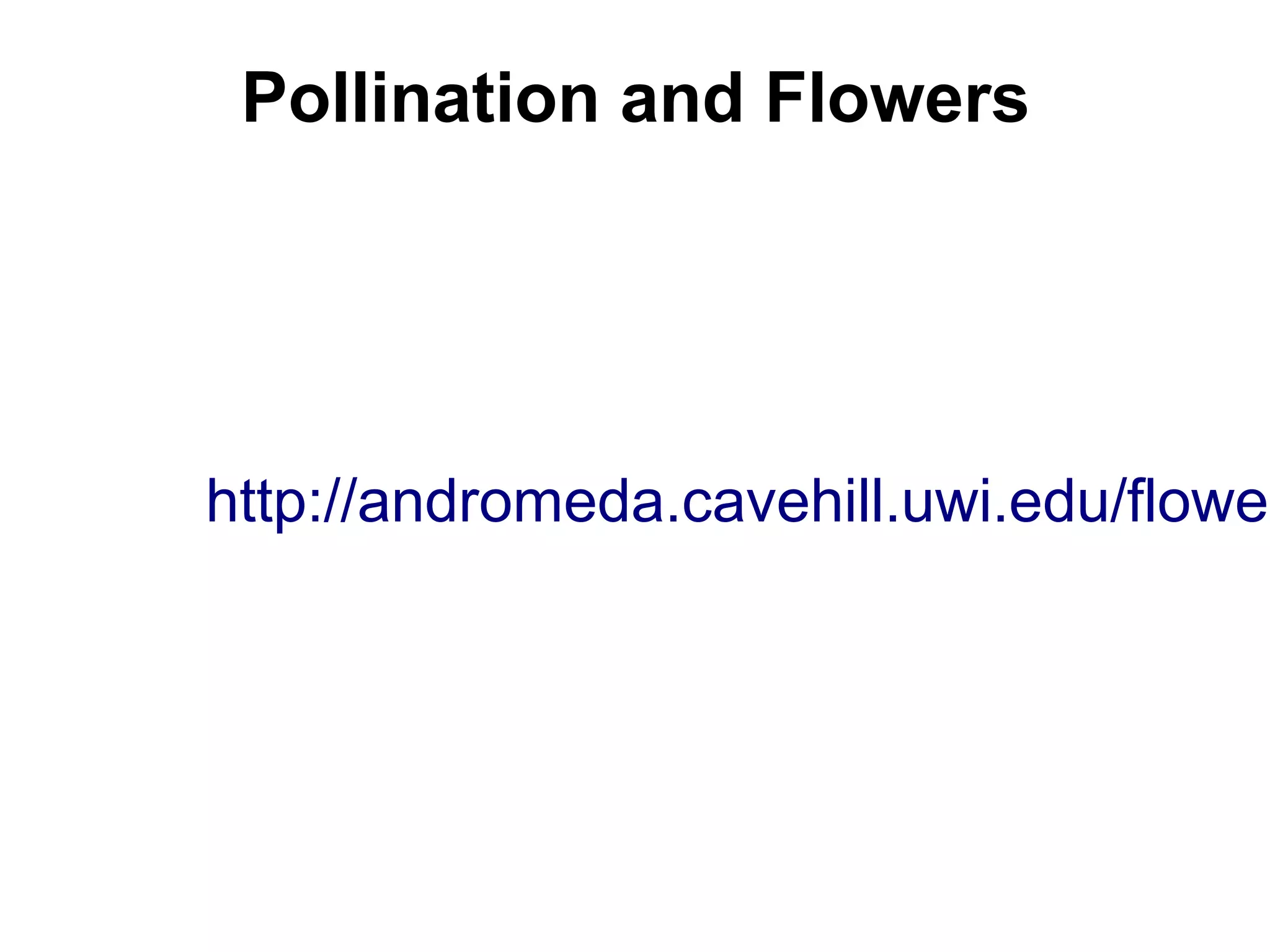 Pollination and Flowers




http://andromeda.cavehill.uwi.edu/flower
 