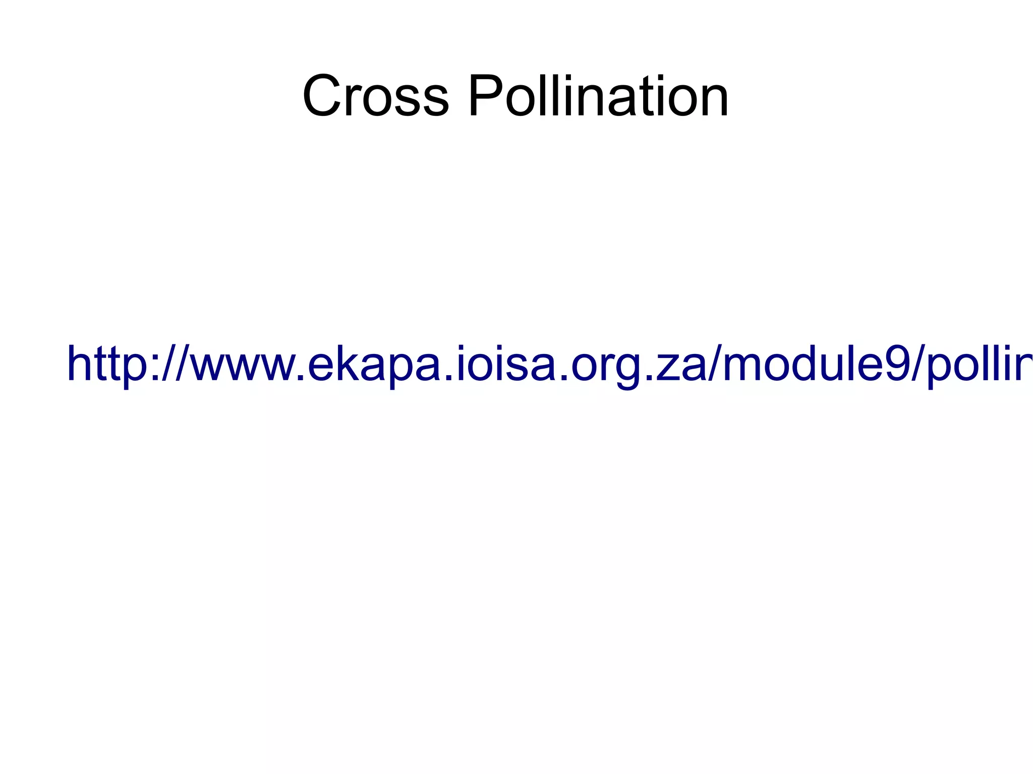 Cross Pollination



http://www.ekapa.ioisa.org.za/module9/pollin
 