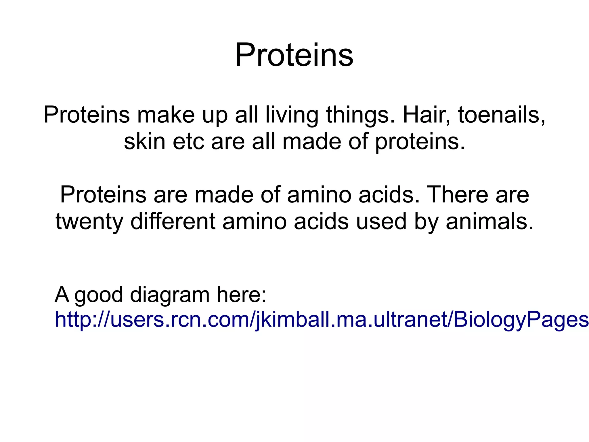 Proteins
Proteins make up all living things. Hair, toenails,
       skin etc are all made of proteins.

  Proteins are made of amino acids. There are
 twenty different amino acids used by animals.


 A good diagram here:
 http://users.rcn.com/jkimball.ma.ultranet/BiologyPages
 