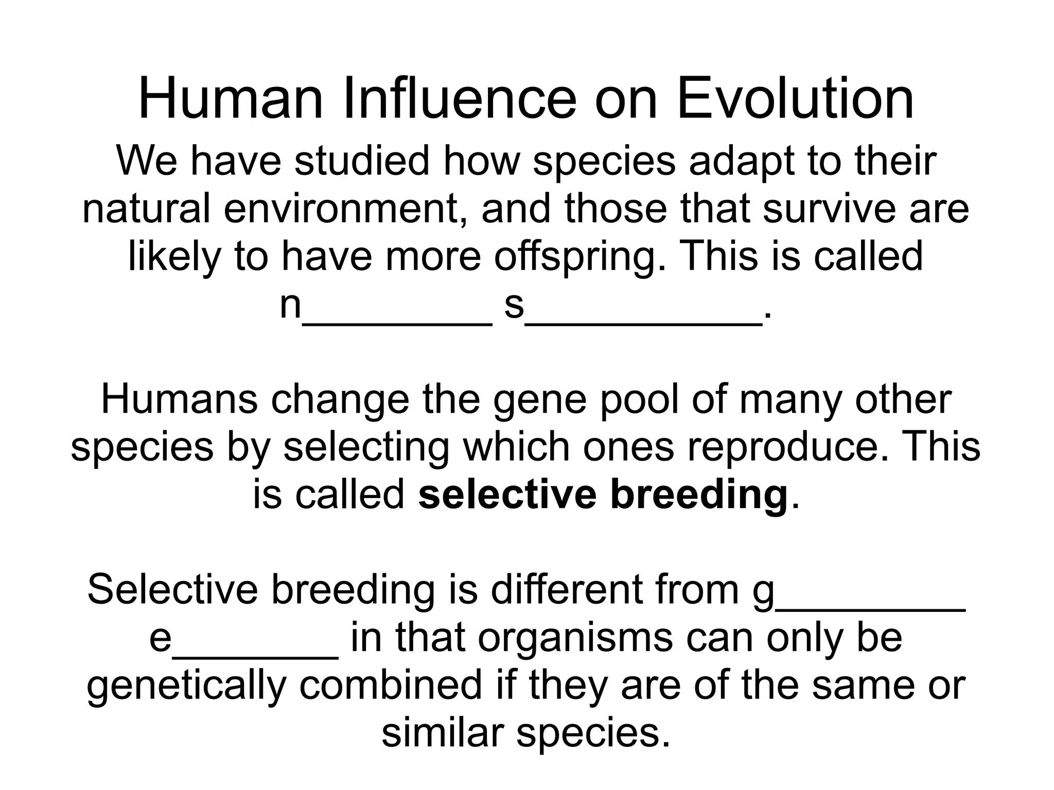 Human Influence on Evolution
 We have studied how species adapt to their
natural environment, and those that survive are
  likely to have more offspring. This is called
            n________ s__________.

 Humans change the gene pool of many other
species by selecting which ones reproduce. This
         is called selective breeding.

Selective breeding is different from g________
   e_______ in that organisms can only be
genetically combined if they are of the same or
               similar species.
 