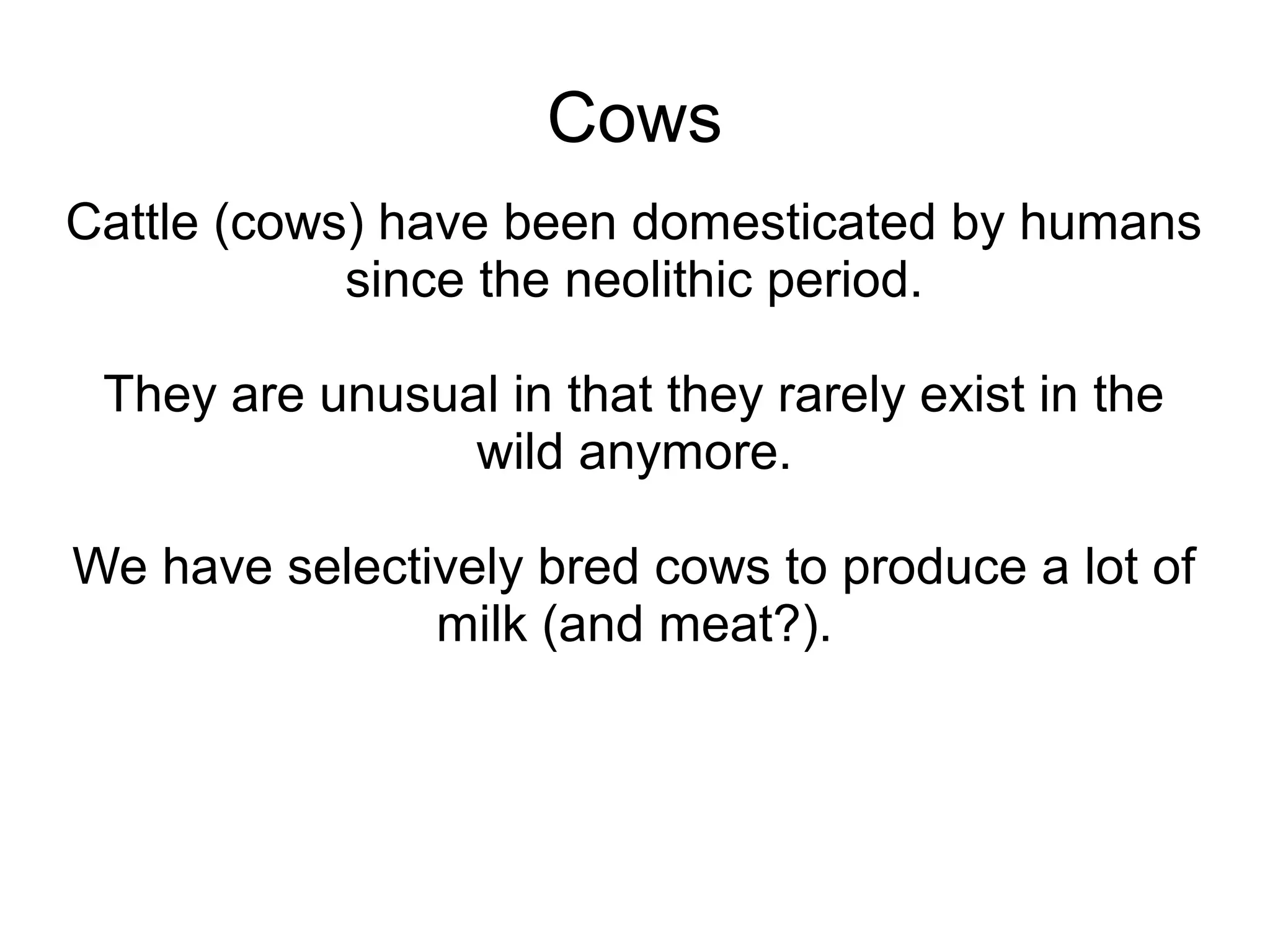 Cows
Cattle (cows) have been domesticated by humans
            since the neolithic period.

 They are unusual in that they rarely exist in the
                wild anymore.

We have selectively bred cows to produce a lot of
               milk (and meat?).
 