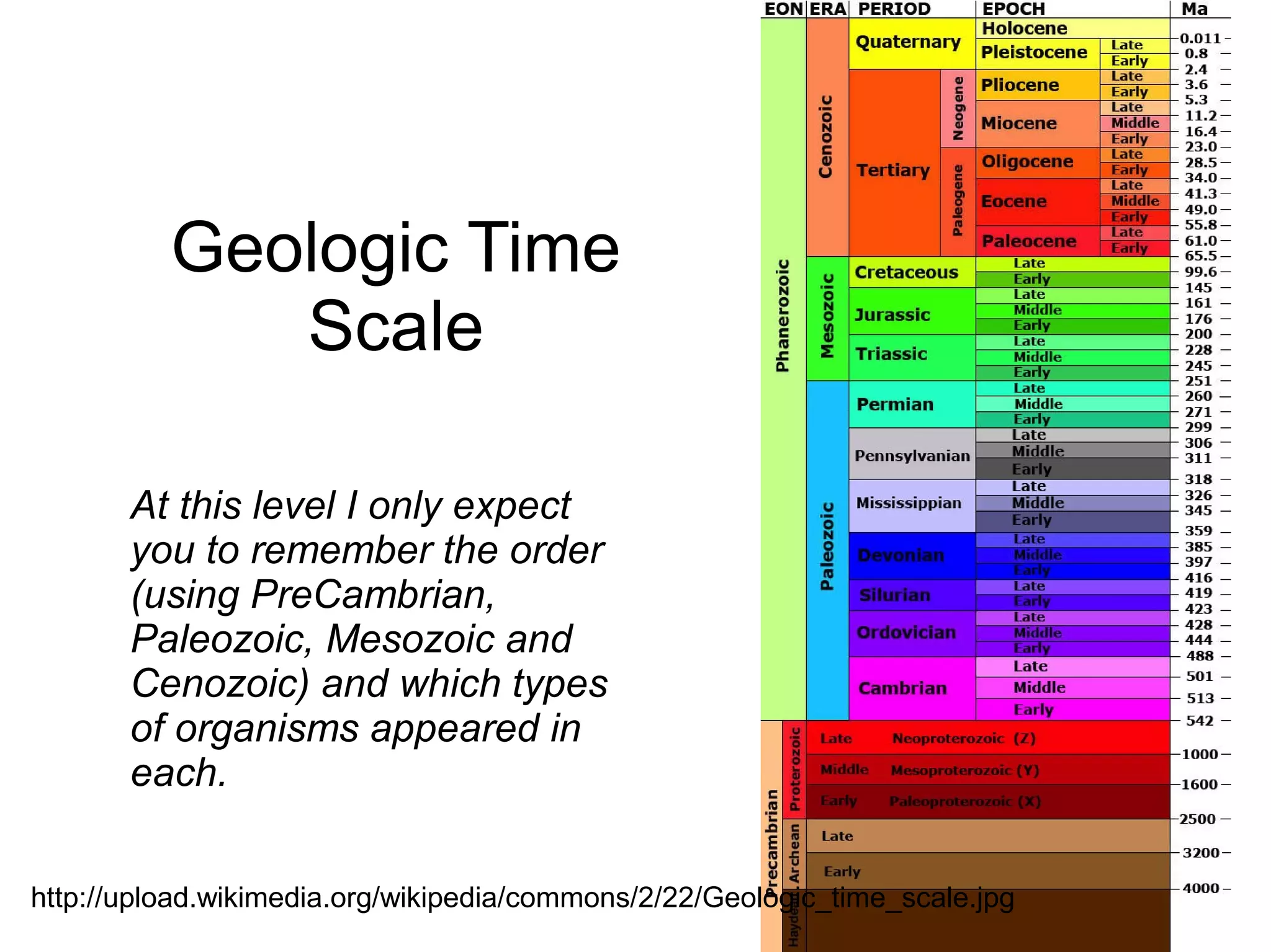 Geologic Time
             Scale

       At this level I only expect
       you to remember the order
       (using PreCambrian,
       Paleozoic, Mesozoic and
       Cenozoic) and which types
       of organisms appeared in
       each.


http://upload.wikimedia.org/wikipedia/commons/2/22/Geologic_time_scale.jpg
 